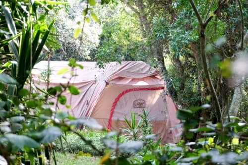 Camping