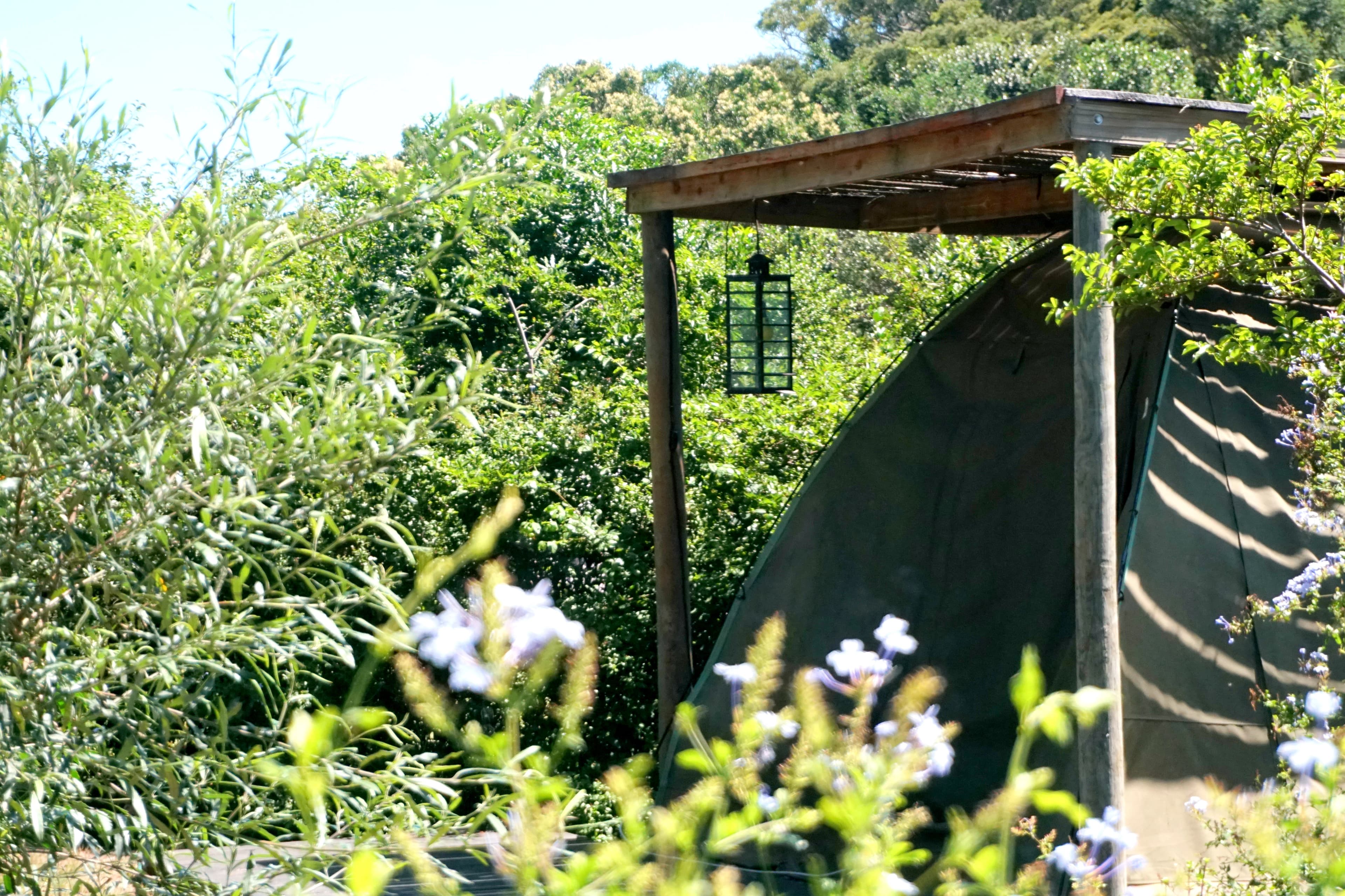 Safari Tent Overview