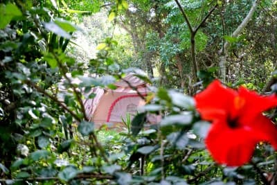 Safari Tent Exterior