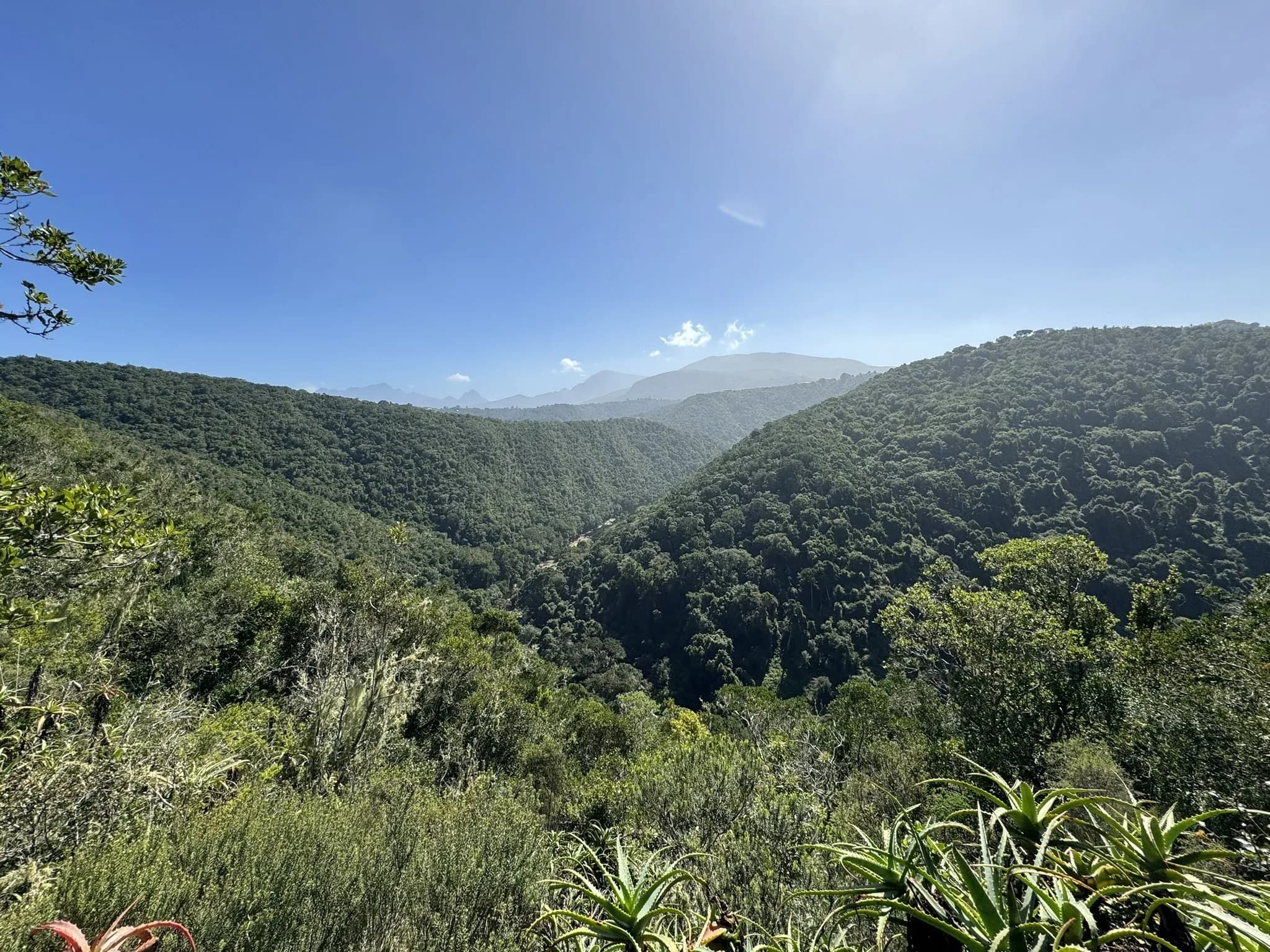 Bosduif Trail Overview