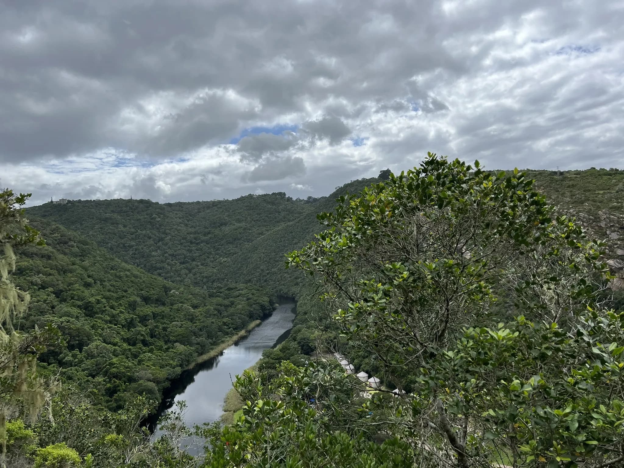 Bosduif Trail
