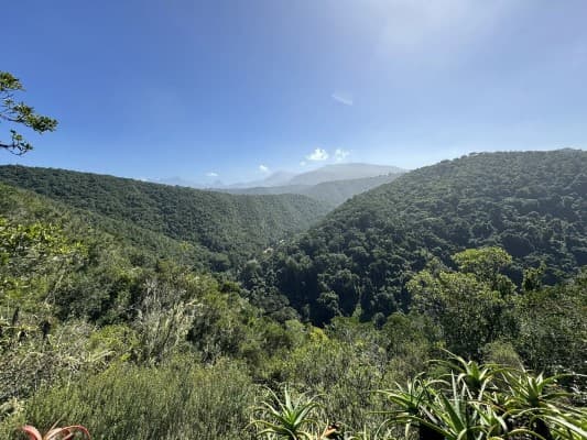 Bosduif Trail